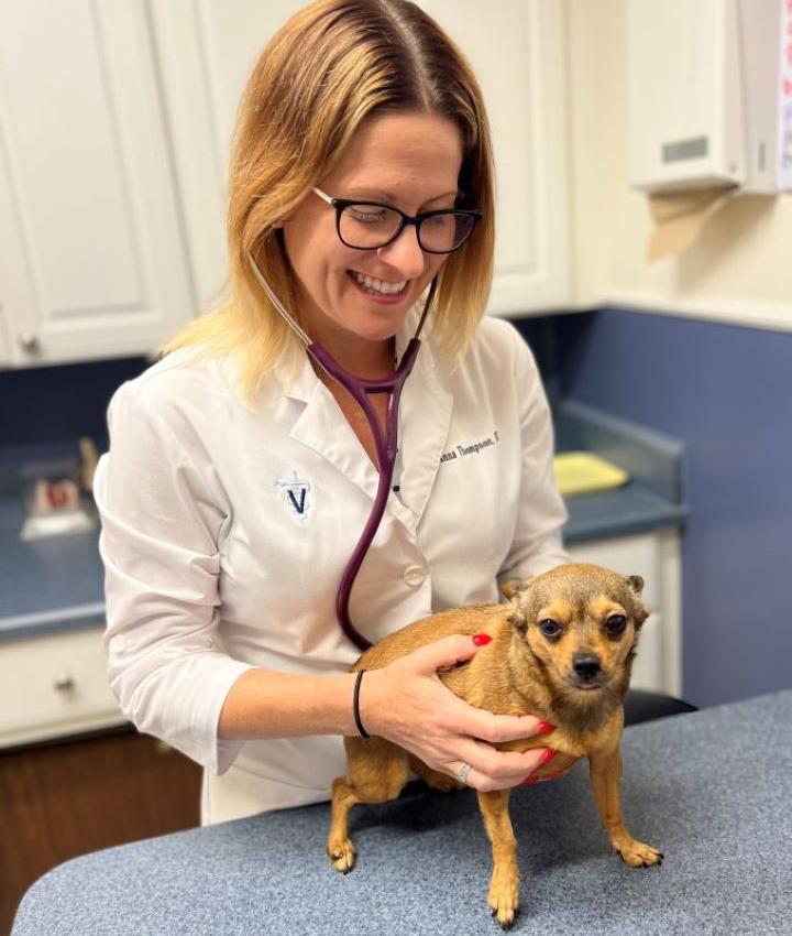 Dr. Anna Thompson, DVM Jackson Veterinary Hospital